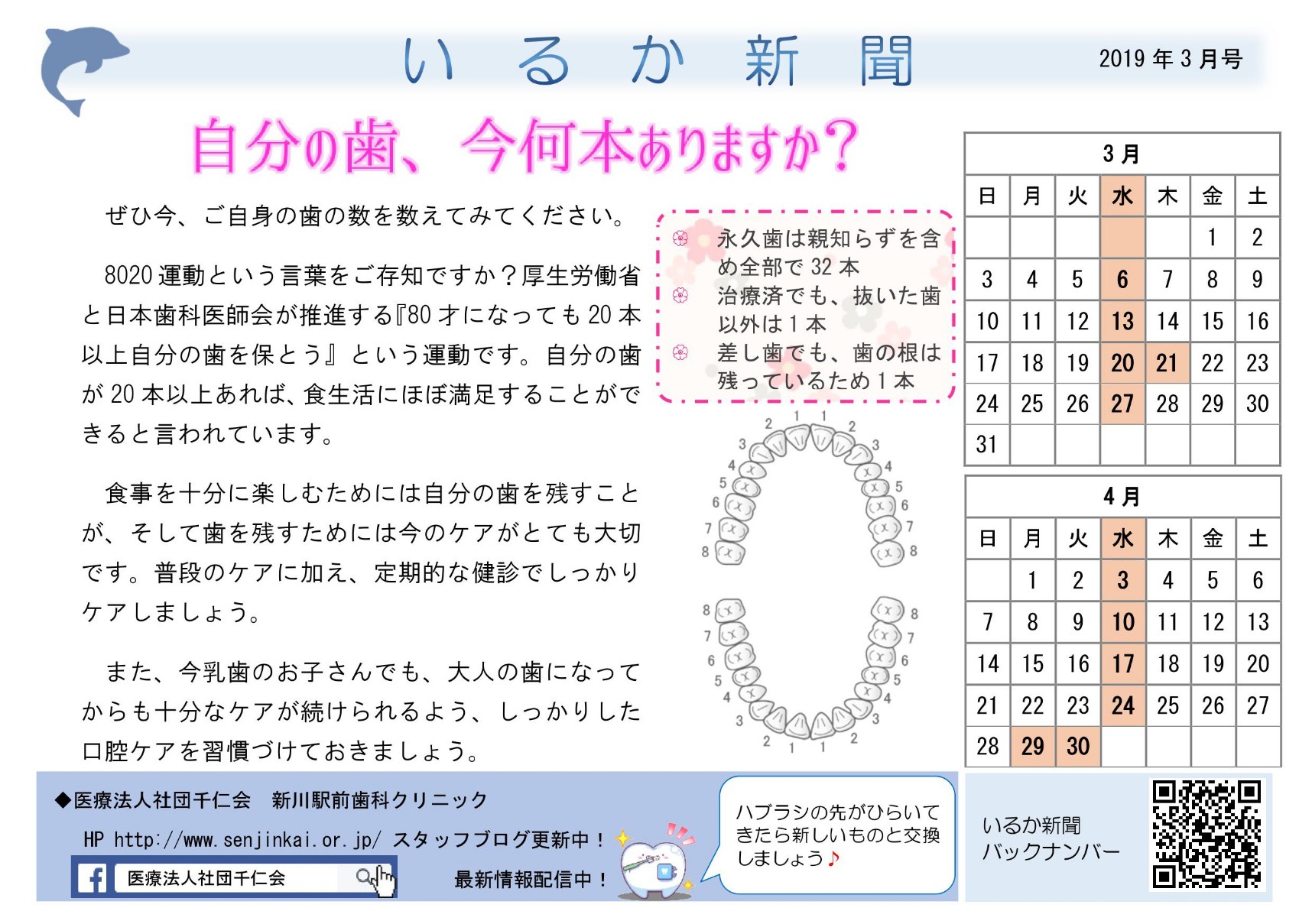 院内新聞19年3月号 新川版 自分の歯は今は何本ありますか お知らせ ブログ 札幌 インプラントオフィス大通