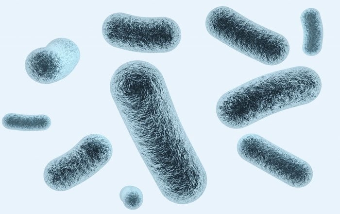 歯周病があるとインプラント治療が難しくなる理由：細菌感染のリスクが上がる