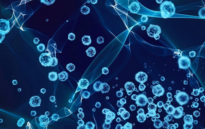 インプラント手術に関連するリスク：術後感染症のリスク