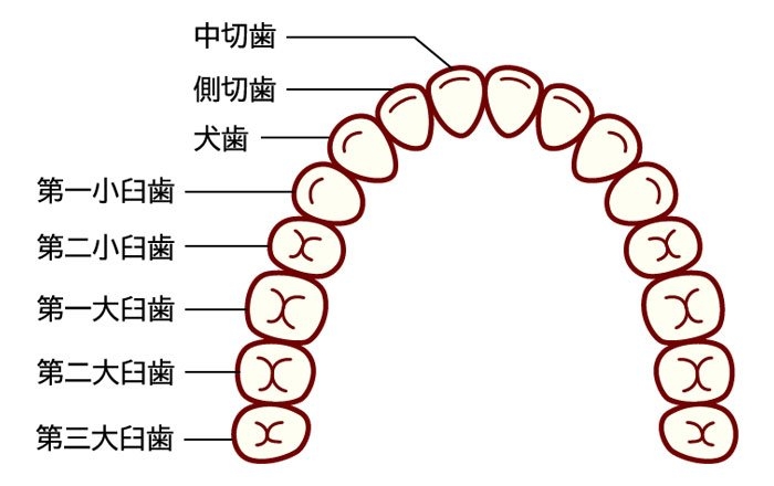 理論上の最大本数は28本