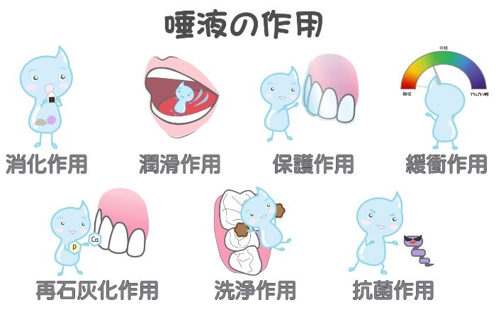 ドライマウス（口腔乾燥症）がインプラントに与える影響：唾液の働きが低下する