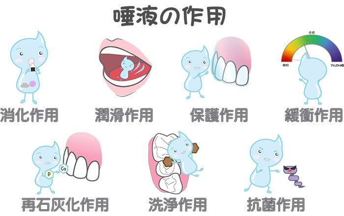 高齢になると生じるさまざまなお口の問題：お口の中の環境が変化する