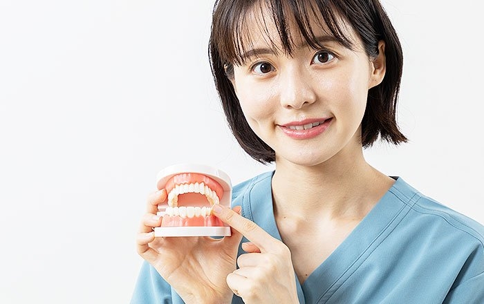インプラントを大切に使い続けるために定期的な噛み合わせチェックを