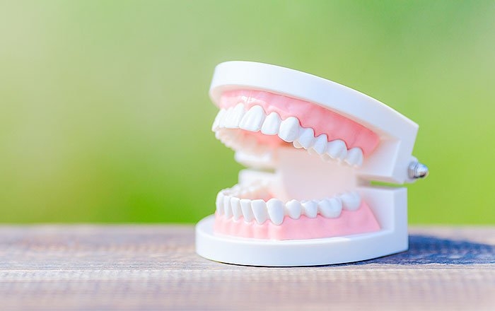 噛み合わせは時間とともに変わっていく