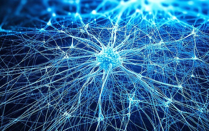 超音波パルスが骨の再生・修復を促進