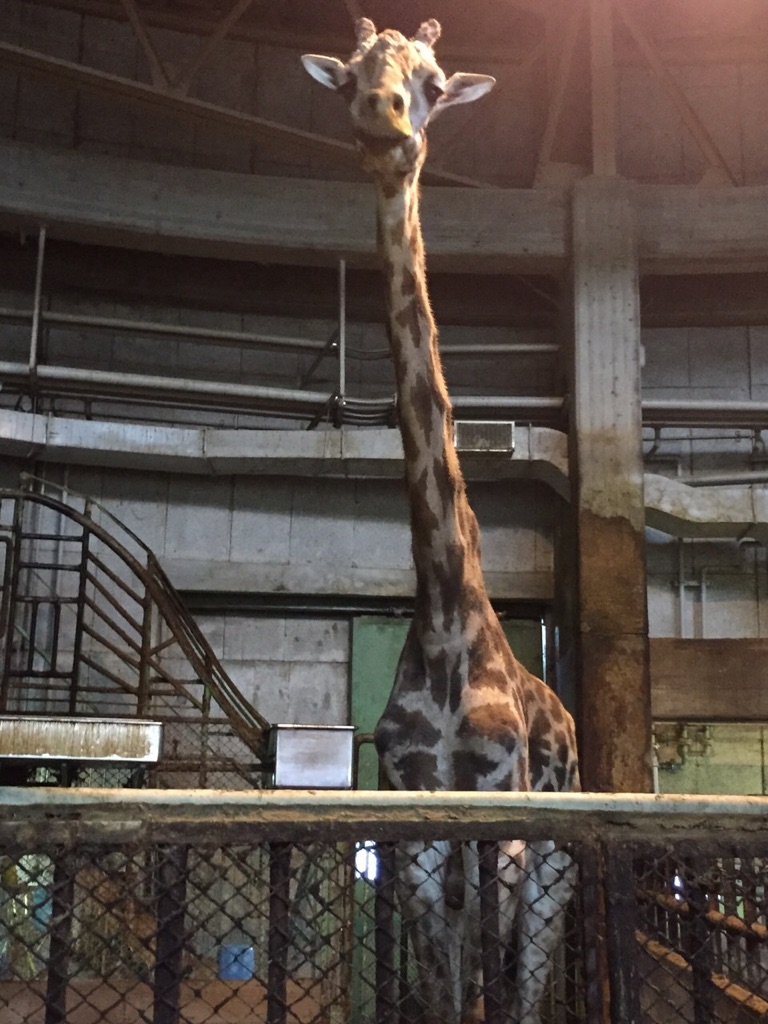 20150827OTUKI05.jpg
