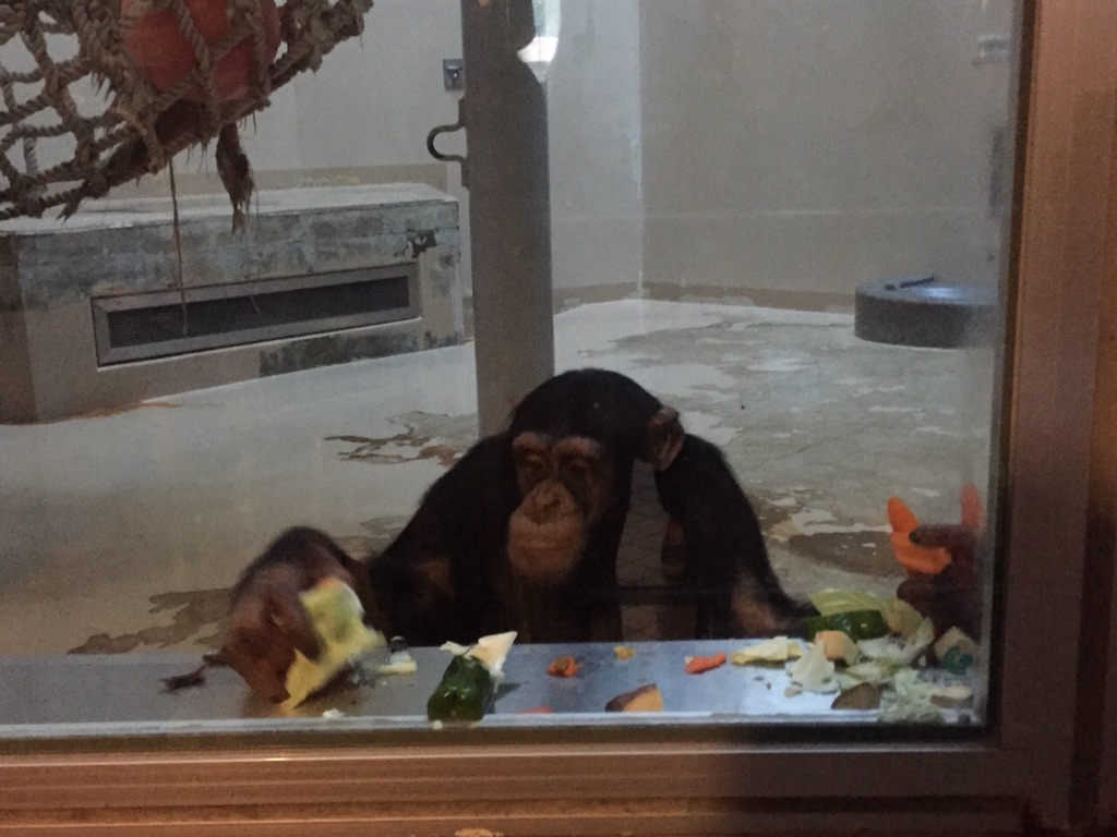 20150827OTUKI06.jpg